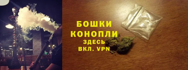 Шишки марихуана OG Kush  купить наркотик  Дигора 